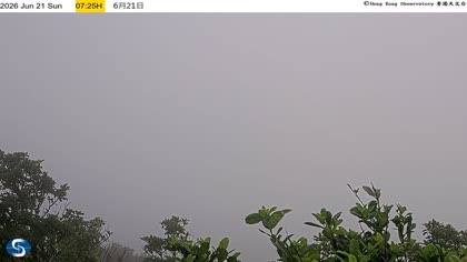 2026-06-21