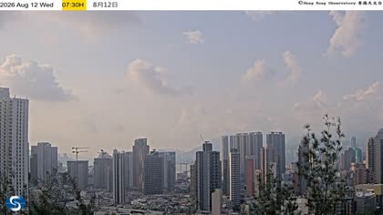 2026-08-12