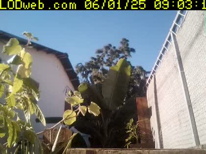2025-06-01