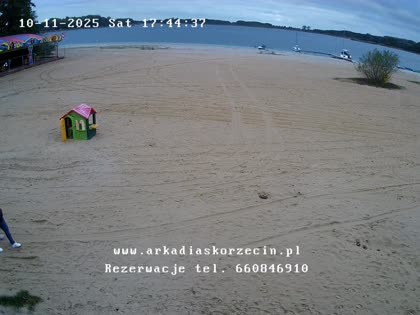 2025-10-11