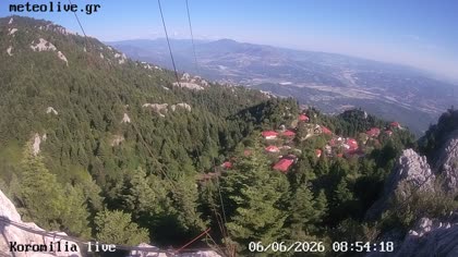 2026-06-06