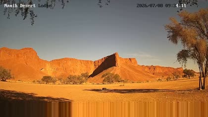 2026-07-08