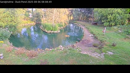 2025-08-06