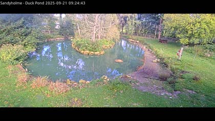 2025-09-21