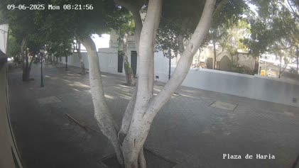 2025-06-09