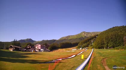 2026-07-16