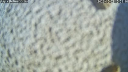 2025-10-02