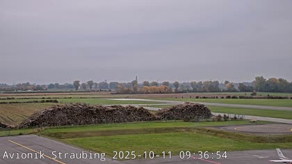 2025-10-11