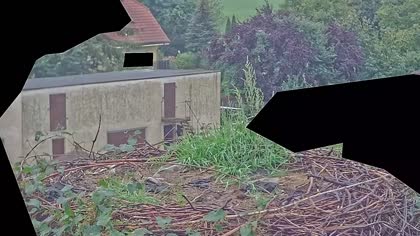 2025-09-14
