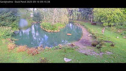 2025-09-10