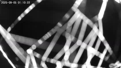 2025-09-05