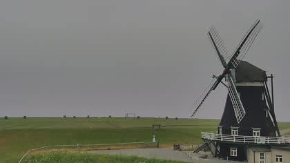 2025-07-22