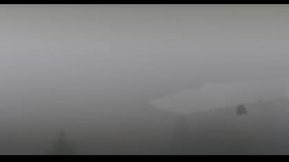 2025-07-07