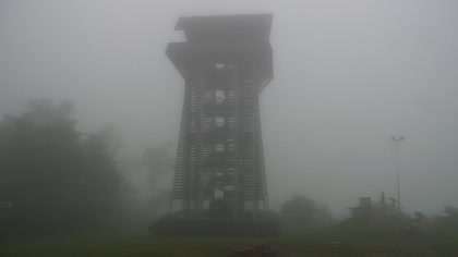 2026-06-10