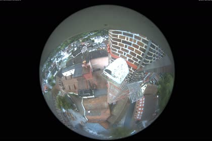 2025-08-21