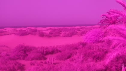 2026-07-09
