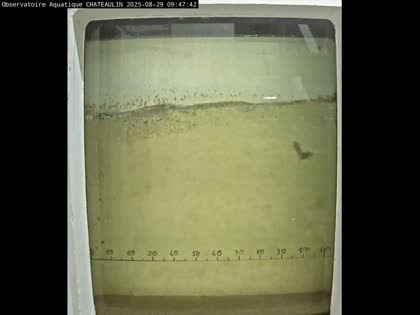 2025-08-29