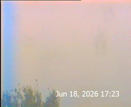 2026-06-19