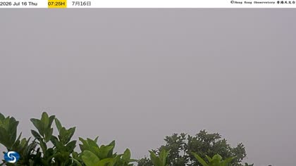 2026-07-16
