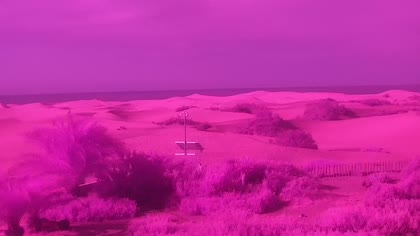 2026-05-28