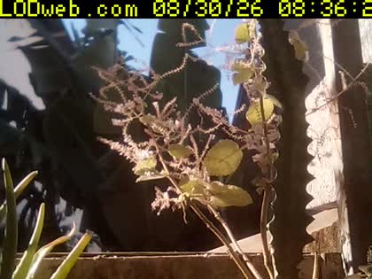 2026-08-30