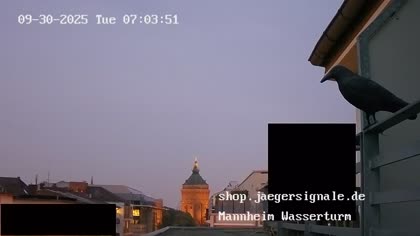 2025-09-30