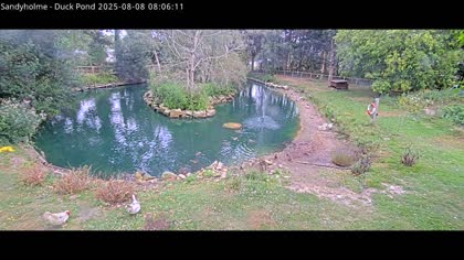 2025-08-08