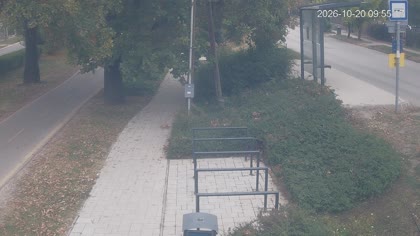 2026-10-20