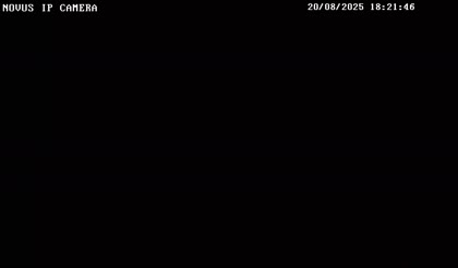 2025-08-20