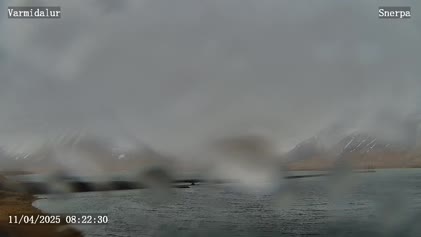 2025-04-11