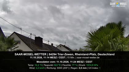 2026-10-11