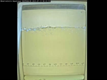 2025-07-12