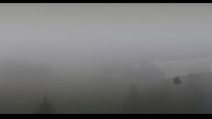2025-10-05