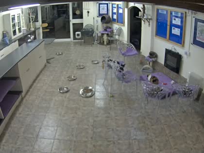 2025-10-07