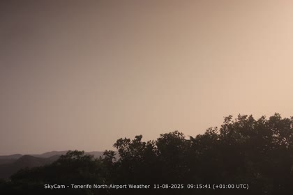 2025-08-11