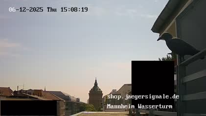 2025-06-13