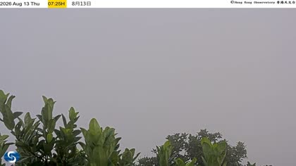 2026-08-13
