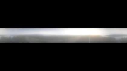 2025-08-11
