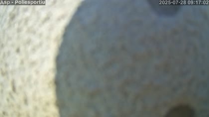 2025-07-28