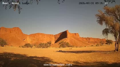 2026-07-31