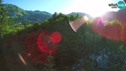 2026-06-21
