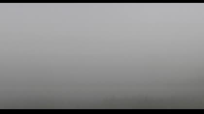 2025-07-08
