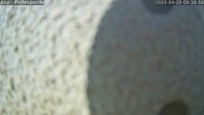 2025-04-20
