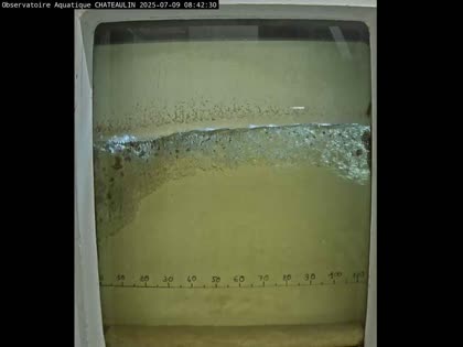 2025-07-09
