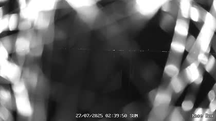 2025-07-27