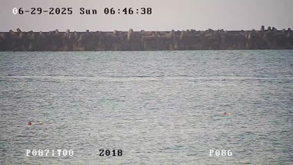 2025-06-29