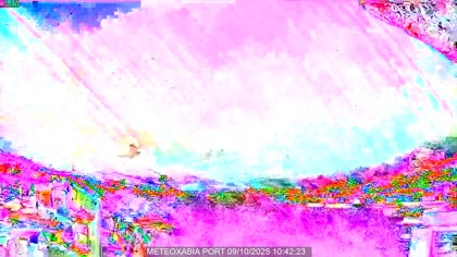 2025-10-09