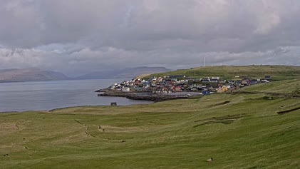 2025-05-11