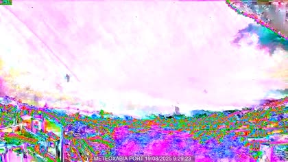 2025-08-19