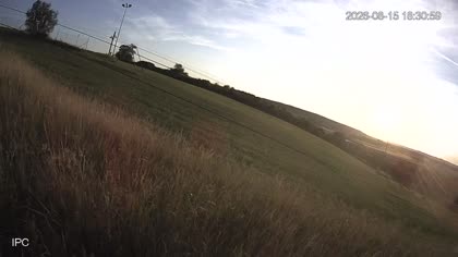 2026-08-15